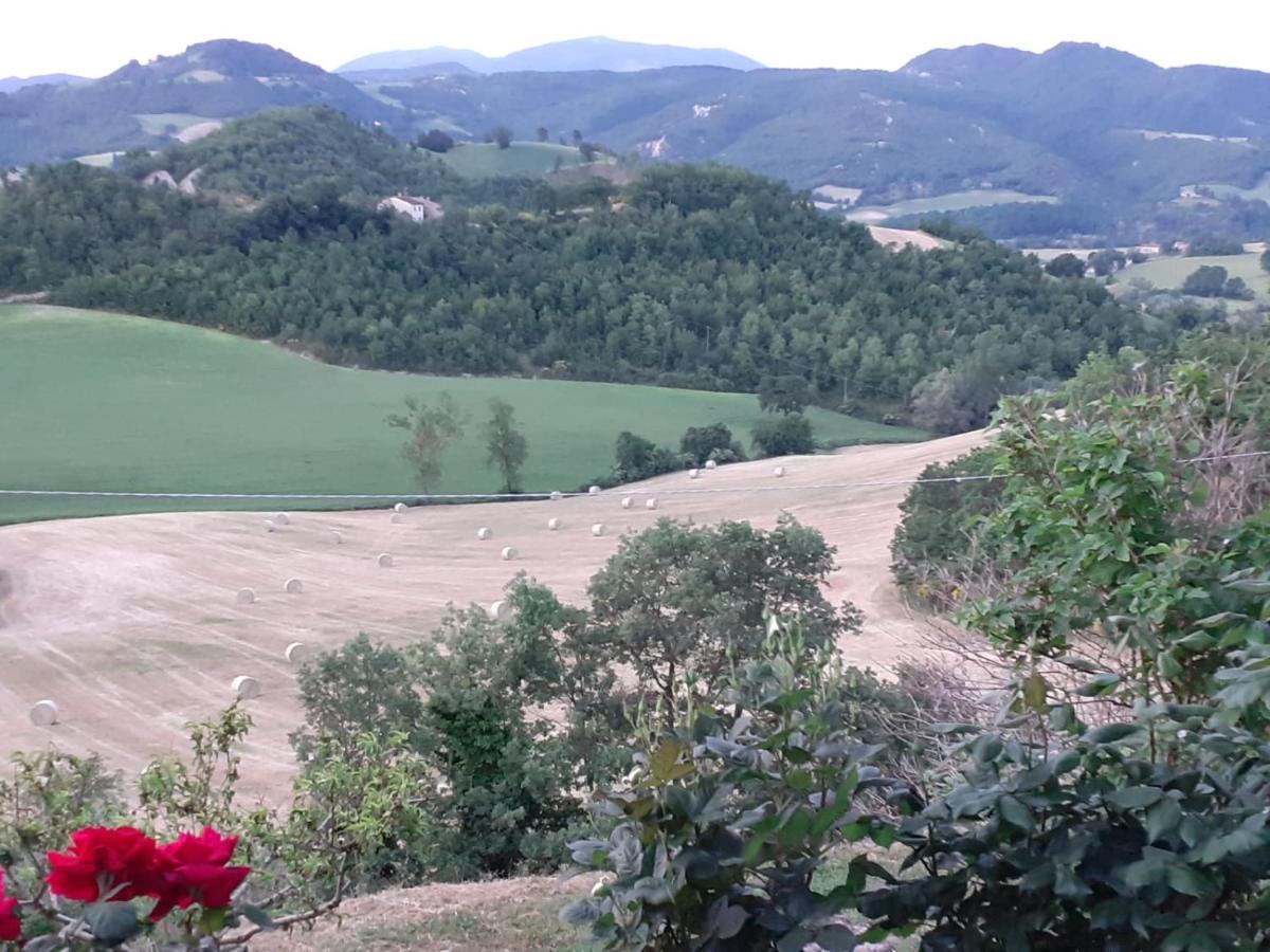 Ca' Gulino - Urbino - Villa Con Minipiscina In Borgo Antico 외부 사진