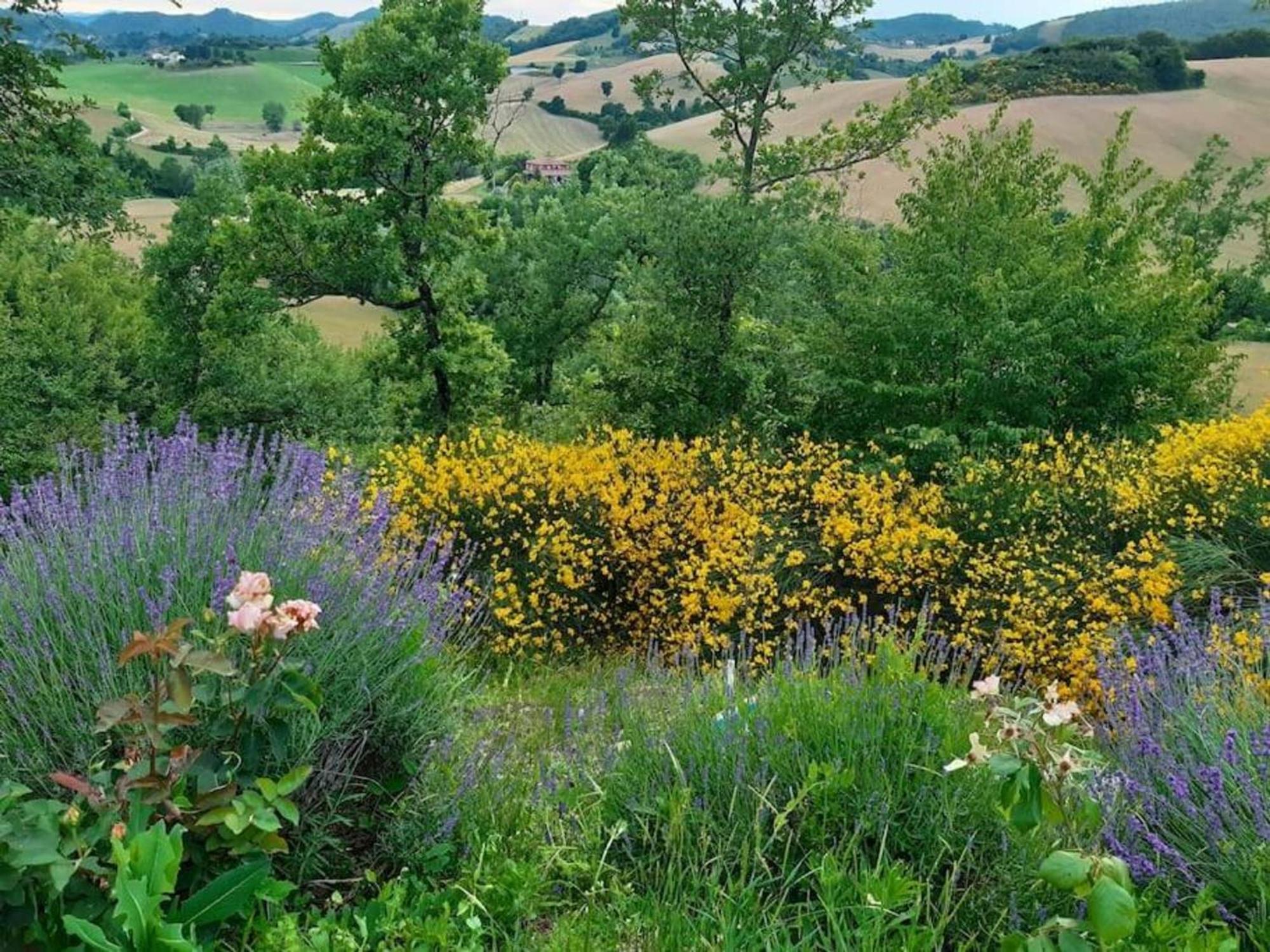 Ca' Gulino - Urbino - Villa Con Minipiscina In Borgo Antico 외부 사진